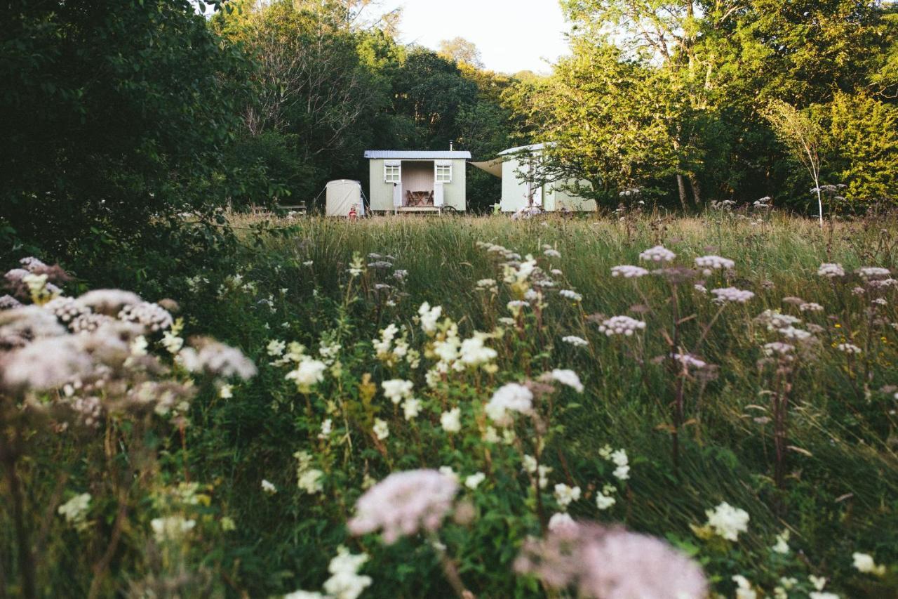 Snowdonia Shepherds' Huts Conwy Buitenkant foto