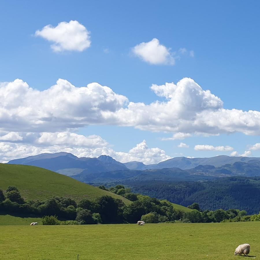 Snowdonia Shepherds' Huts Conwy Buitenkant foto